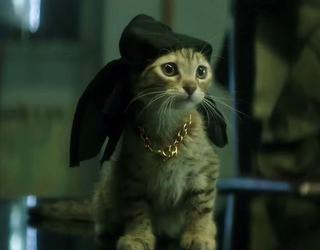 'Keanu', tráiler y Poster de la primera película de Key y Peele