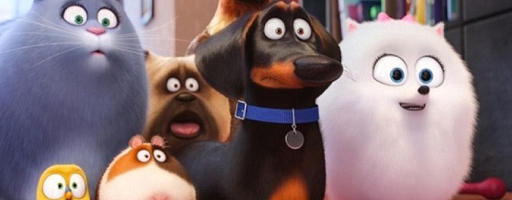La Vida Secreta de Tus Mascotas: Curiosidades