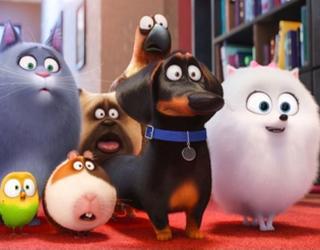 La Vida Secreta de Tus Mascotas: Curiosidades