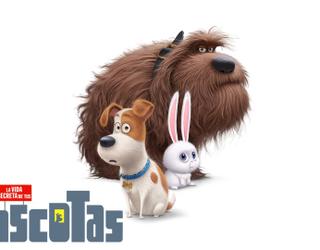 La Vida Secreta de Tus Mascotas Tendrá Secuela 
