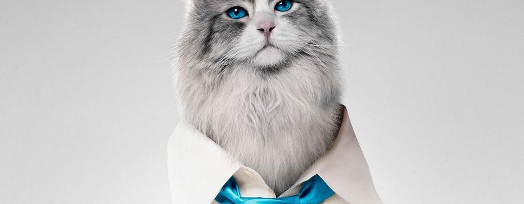 ¿ Ya sabes que película veras este fin de semana ? 02-09-16