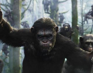 War for the Planet of the Apes: ya fue revelada la sinopsis oficial de la tercera entrega