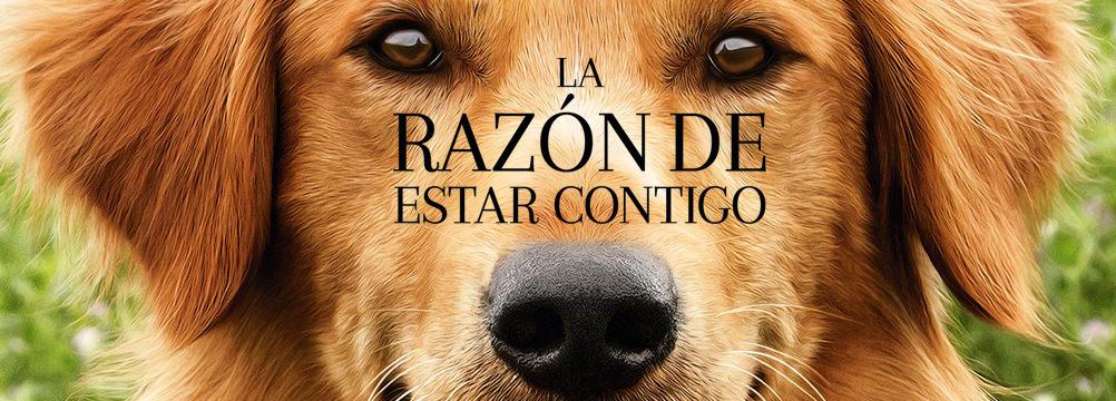 "La razón de estar contigo" causa polémica por maltrato animal