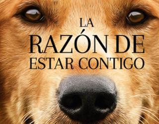 "La razón de estar contigo" causa polémica por maltrato animal