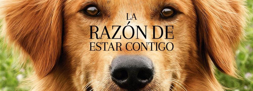 ¿Ya sabes que película ver este fin de semana ? 27-01-2017