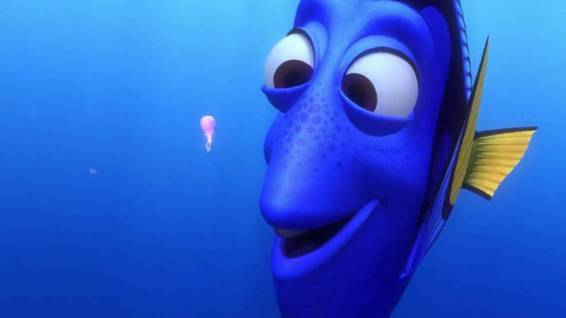 dory