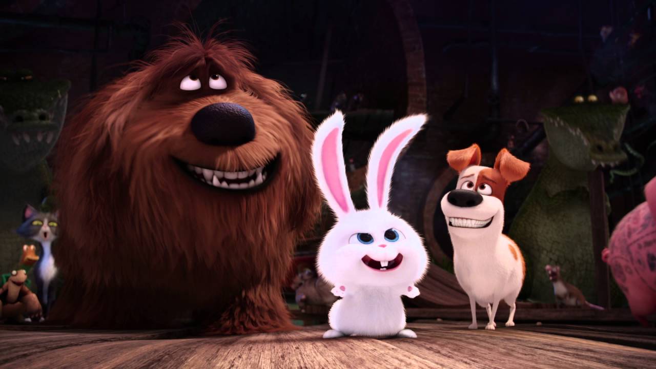 Mascotas