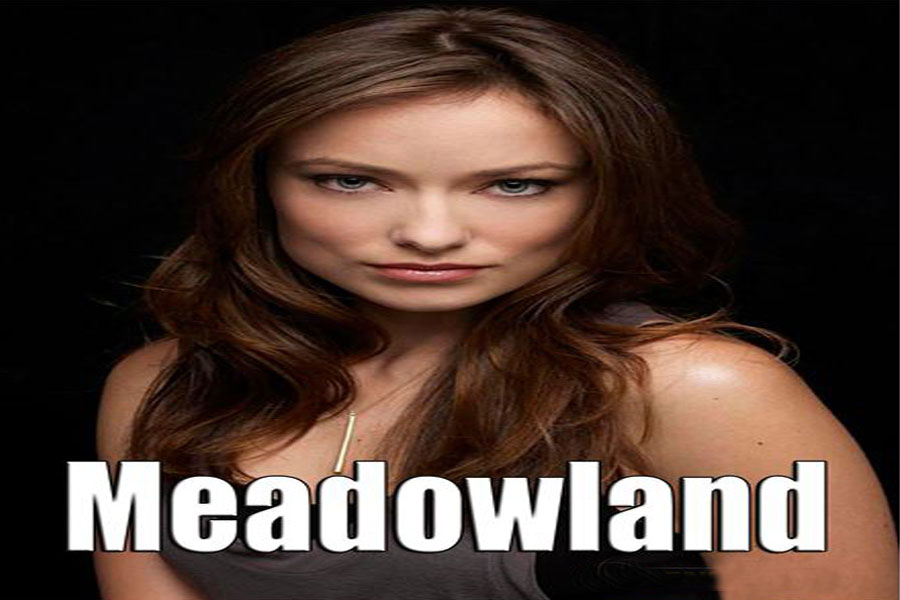 Meadowland tráiler y Poster del drama con Olivia Wilde