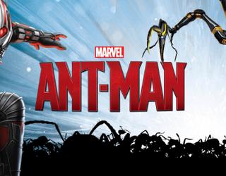 "Ant-Man and  the Wasp" :Peyton Reed habla sobre el papel  que tendra Evangeline Lilly