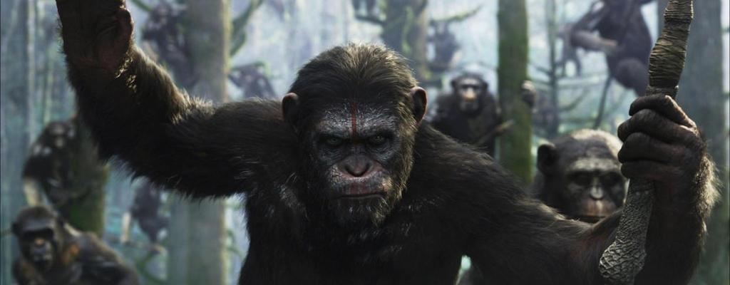War for the Planet of the Apes: ya fue revelada la sinopsis oficial de la tercera entrega